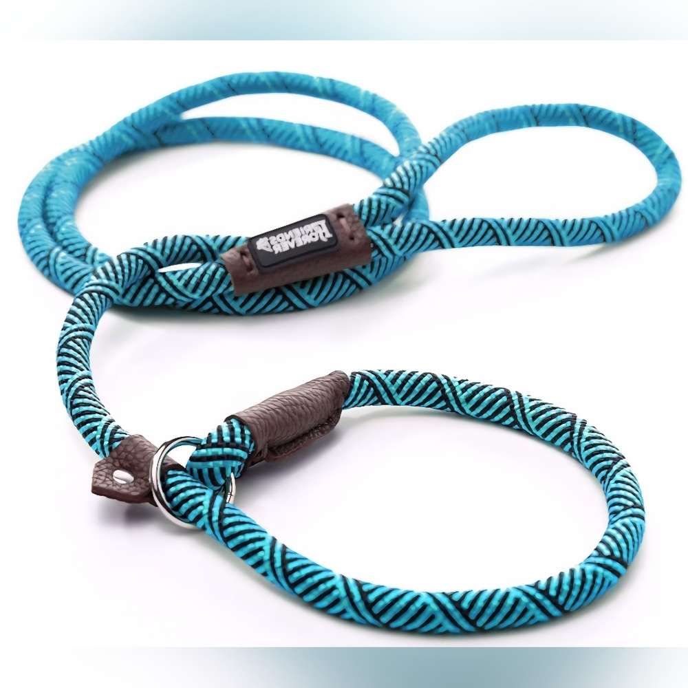 Friends Forever Rope Dog Leash Teal Blue Slip Lead Durable Walking Lead